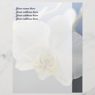 En-tête De Lettre Personnalisée Fleur d'orchidée blanche