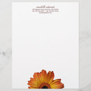 En-tête De Lettre Personnalisée Fleur orange ensoleillée de fleur de marguerite de