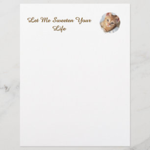 En-tête De Lettre Photo de chat mignon avec texte remplaçable, en-tê