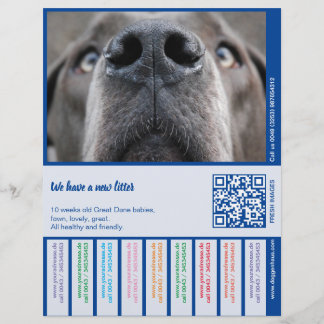 En-tête De Lettre Pour vendre Dane Puppies coloré