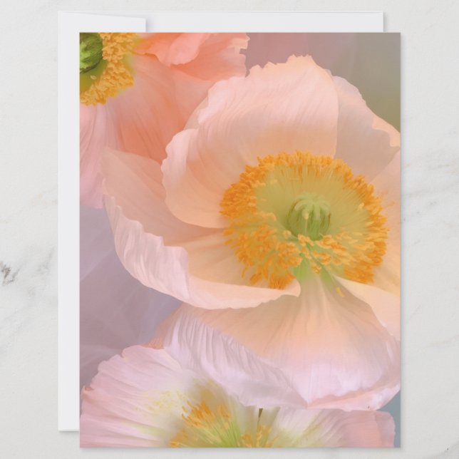 En-tête De Lettre Rêveur (Devant)