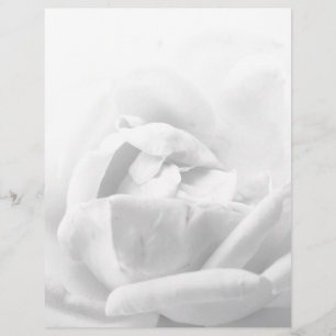 En-tête De Lettre Rose Fleur Élégante Florale Noir Et Blanc Féminin