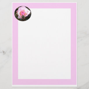 En-tête De Lettre Rose rose rose anglaise parfaite