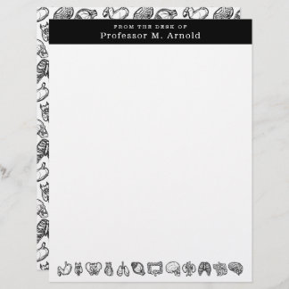 En-tête De Lettre Science de l'anatomie humaine moderne Croquis pers