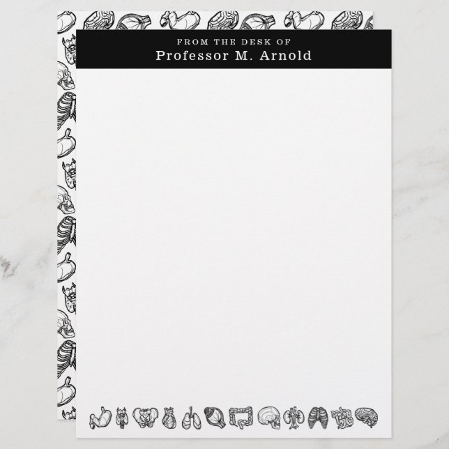 En-tête De Lettre Science de l'anatomie humaine moderne Croquis pers (Devant / Derrière)