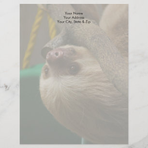 En-tête De Lettre Sloth