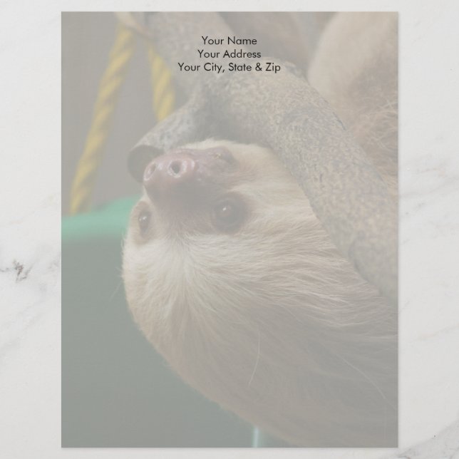 En-tête De Lettre Sloth (Devant)