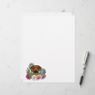 En-tête De Lettre Tête de Ridgeback de Rhodésie Fleurs colorées d'ét