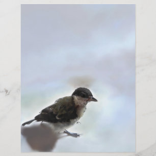 En-tête De Lettre Tidi my Bird le Parus Major