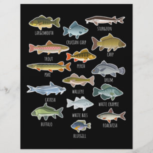 En-tête De Lettre Types D'Espèces De Poissons D'Eau Douce Pêche