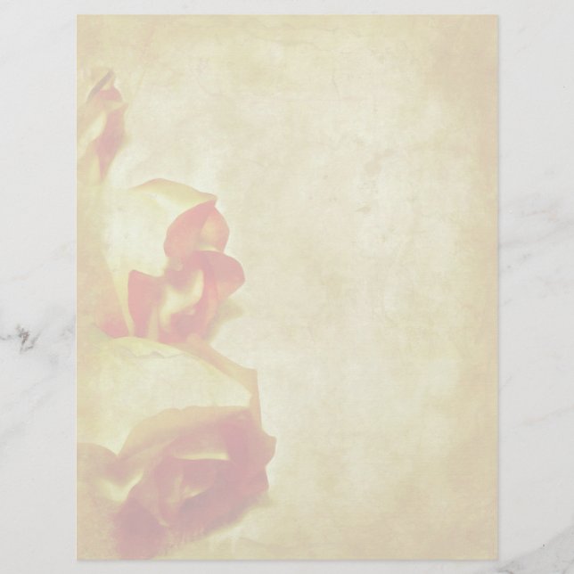 En-tête des bordures roses (Devant)