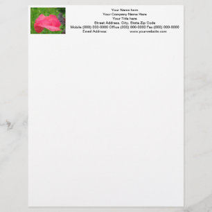 En-tête Papier à Lettre Fleur de Pavot Personnalisé Pavots