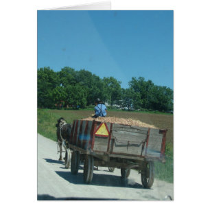 En-Tête Pour La Maison