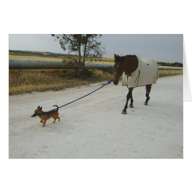 En-tête pour la maison (Devant horizontal)