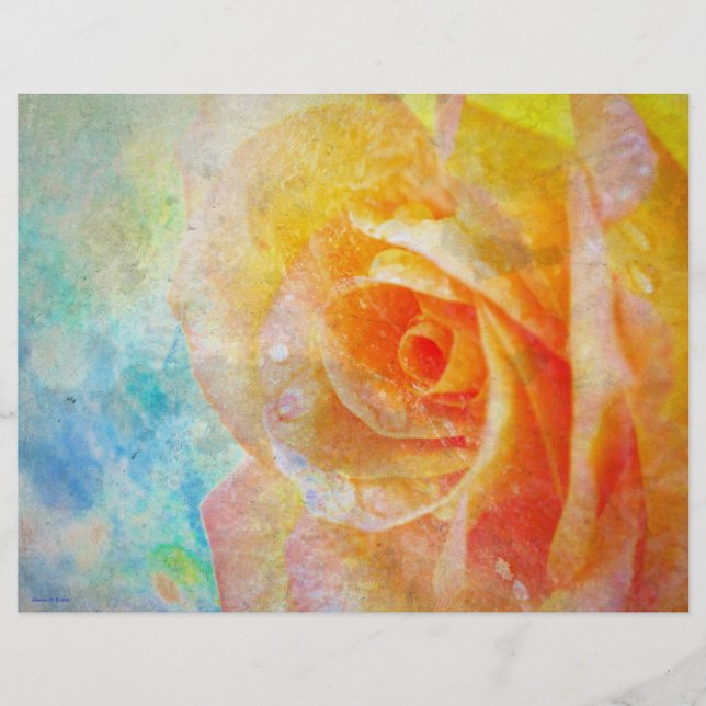 En-tête rose jaune (Devant)
