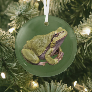 En Verre Grenouille arbre Mignonne Grenouille Zen Ornement