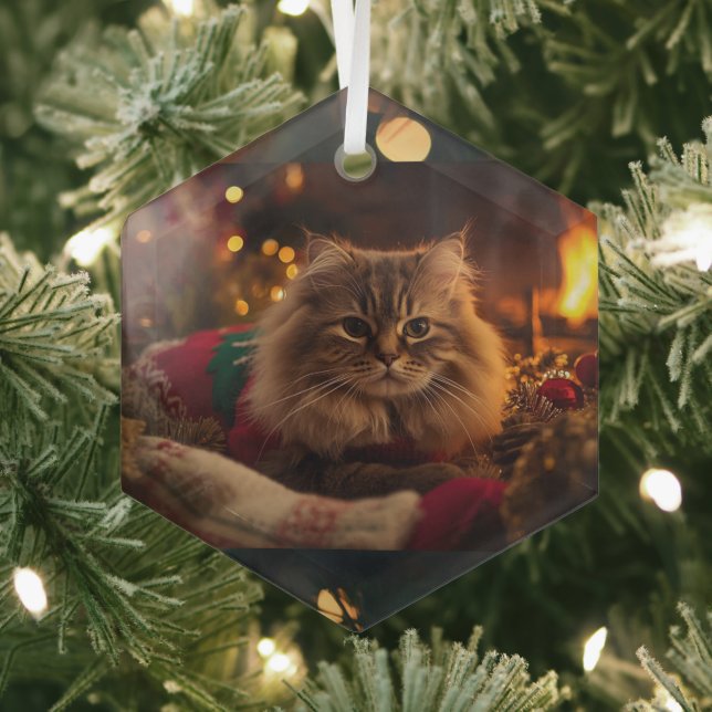En Verre Ornement de chat de Noël cosy  (Insitu)