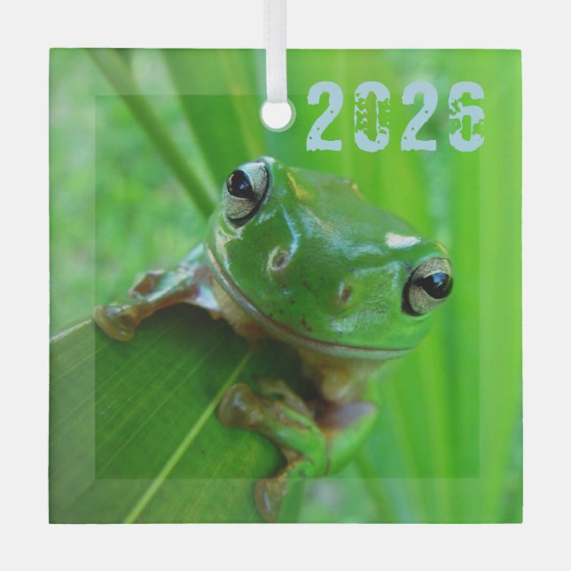 En Verre Ornement de grenouille à arbre vert (Recto)