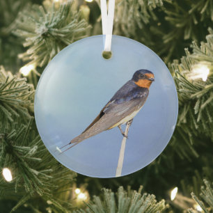 En Verre Ornement de photo d'oiseau Hirondelle de cheminée