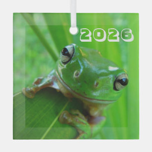 En Verre Ornement Grenouille Verte
