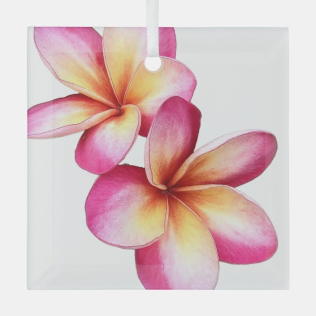 En Verre Ornement Plumeria rose (Recto)