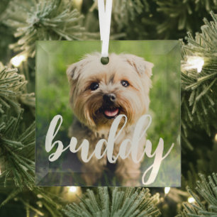 En Verre Personnalisé Simple Élégant Pet Photo Ornement