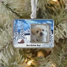 Ornement encadré de chien Malshi Winter Wonder