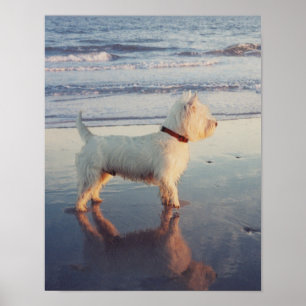 Encore ! Affiche de Westie Ball