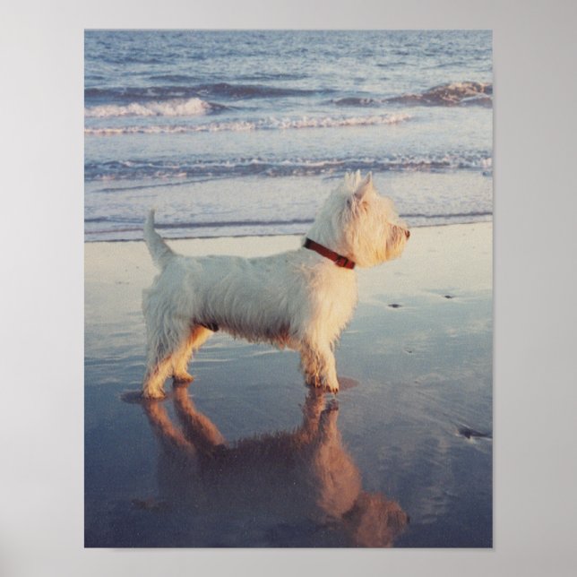 Encore !  Affiche de Westie Ball (Devant)