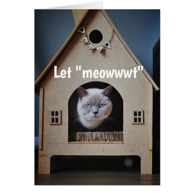 Encouragement/ Bien Se Faire Mignonner Chat En Reg (Devant)