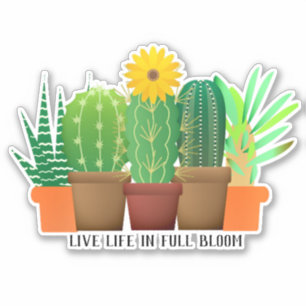 Encouragement Cactus Sticker Vinyl Coupé Personnal