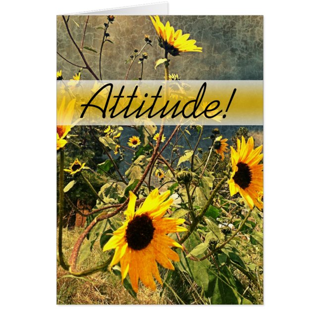 Encourager Les Tournesols Avant Les Nuages De Temp (Devant)