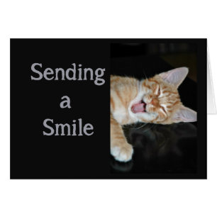 Encouragez à bien sourire mignon Chat souriant