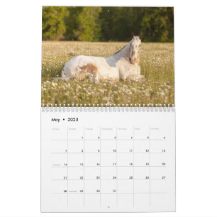 Endo Le Calendrier Blind 2023