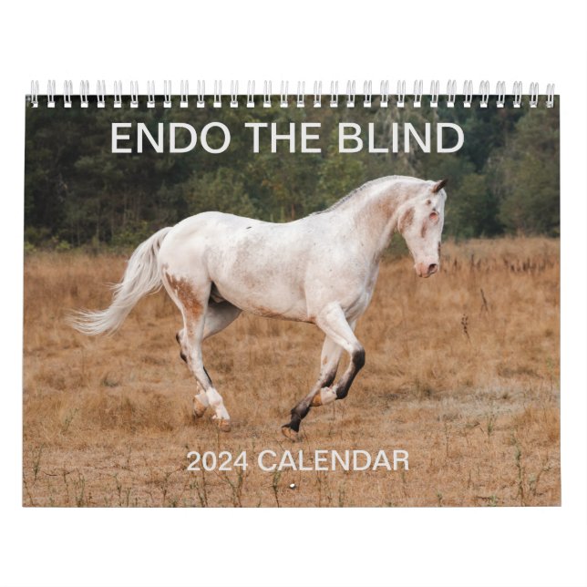 ENDO THE BLIND - Calendrier 2024 (Protection)