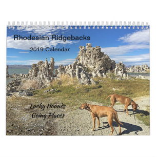 Endroits allants du calendrier 2019 de Rhodesian