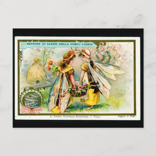 Enfants en costume d'insecte : Carte postale (Devant)
