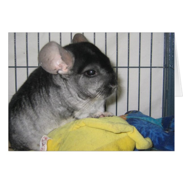 Enfin Home Card, Wubzy et sa poupée Wubzy (Devant Horizontal)