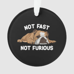 English Bulldog Sleeping Not Fast Not Furious Funn
