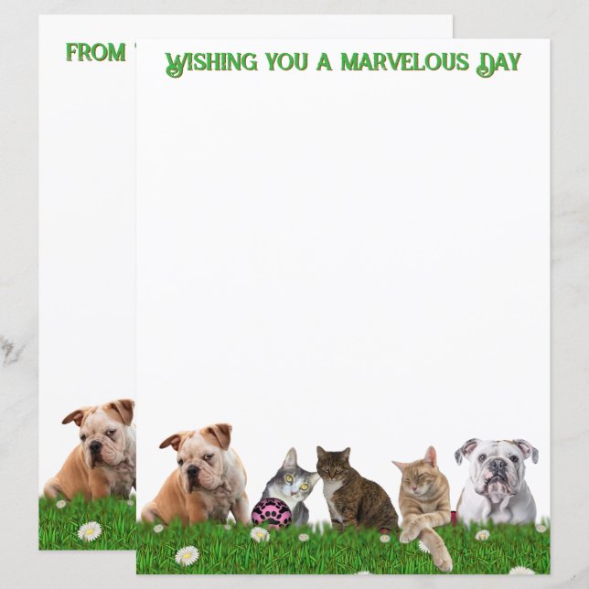 English Bulldogs and Cats Stationery (Devant / Derrière)