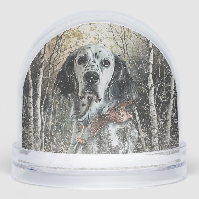 English Setter  (Avant)