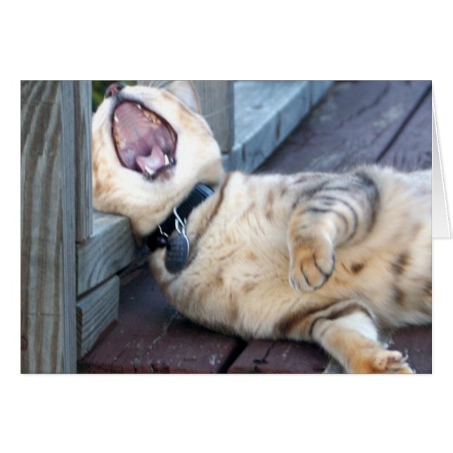 Ennuyeux ! (Devant horizontal)