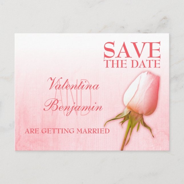 Enregistrer la date carte postale simple rose rose (Devant)