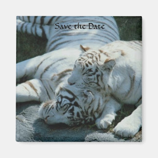 Enregistrer la date Magnets de tigres blancs