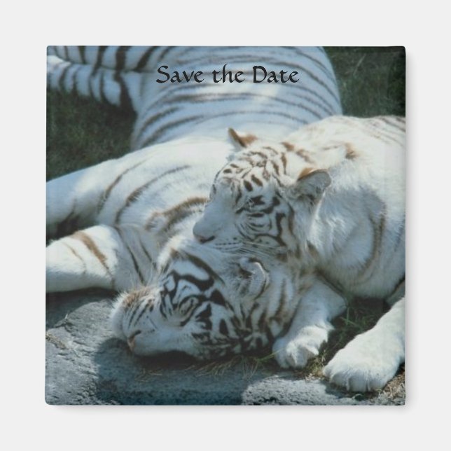 Enregistrer la date Magnets de tigres blancs (Devant)