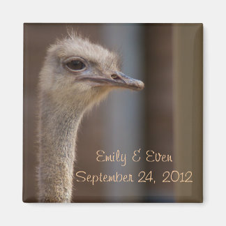 Enregistrer la date Ostrich Photo Magnet