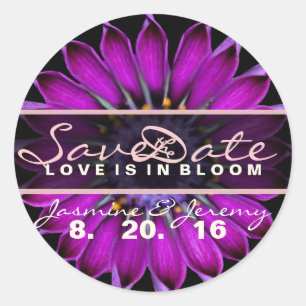 Enregistrer les stickers Fleur sauvage date