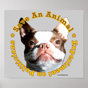 Enregistrer une affiche de chien animal