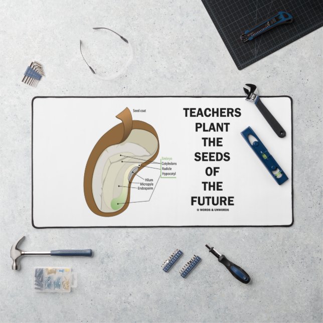 Enseignants Plante Les Graines De Futur Graines De (Poste de travail)