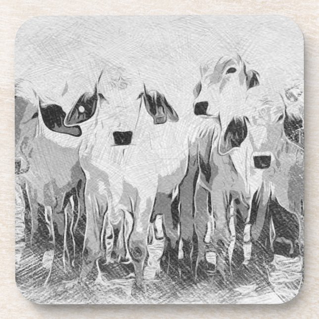 Ensemble Brah-avo de 6 Dessous de verre (Devant)